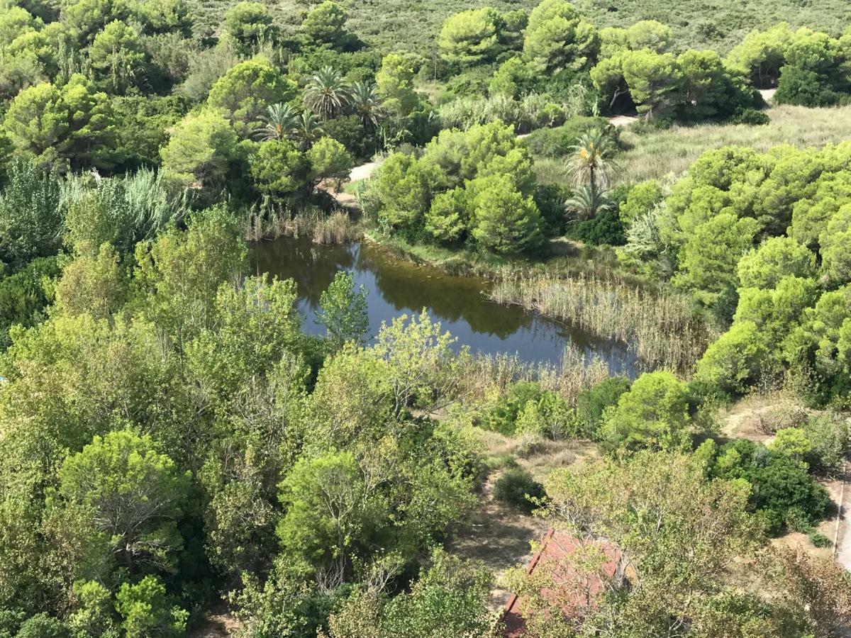 Gran Apartamento, Un Lujo En Playa El Saler - Valencia Bagian luar foto